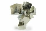 Shiny, Natural Pyrite Cube Cluster - Navajun, Spain #244995-2